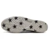 Chuck 70 Low ”Archival Stars Print”
