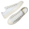 Chuck 70 Low Skosnören ”Egret Barely Grey”