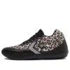 Chuck Taylor All Star BB EVO ”Leopard”