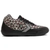 Chuck Taylor All Star BB EVO ”Leopard”