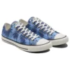 Chuck Taylor All Star ”Blue Sunset Palm”