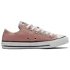 Chuck Taylor All Star ”Canyon Dust”