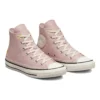 Chuck Taylor All Star High ”Autumn Embroidery Stone Mauve”