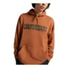 Chuck Taylor All Star Logo Namesake Hoodie Asiatiska storlekar ”Khaki”