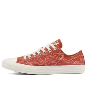 Chuck Taylor All Star Low ”Summer Daze”