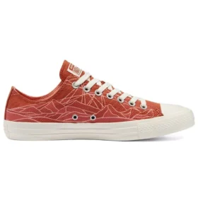 Chuck Taylor All Star Low ”Summer Daze”