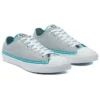 Chuck Taylor All Star Low ”Summer Daze – Ash Stone”
