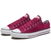Chuck Taylor All Star Pro ”Purple”