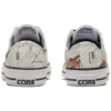 Chuck Taylor All Star Pro ”White Leaves”