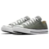 Chuck Taylor All Star Seasonal Color Low Top ”Gray White”