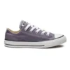 Chuck Taylor All Star Seasonal Low Top ”Purple White”