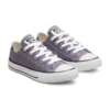Chuck Taylor All Star Seasonal Low Top ”Purple White”