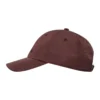 Converse x Rick Owens DRKSHDW Dad Cap ”Brown”