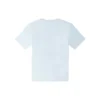 Go-To T-shirt med broderad stjärna och chevronmönster, standardpassform, asiatiska storlekar ”Ljusblå”