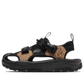 MSD CP ”Brown Black”