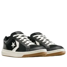 Pro Blaze Classic Low ”Black Egret Dark Matter”