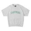 Retro Chuck Crew Fossilized T-shirt Asia Sizing ”Grey”